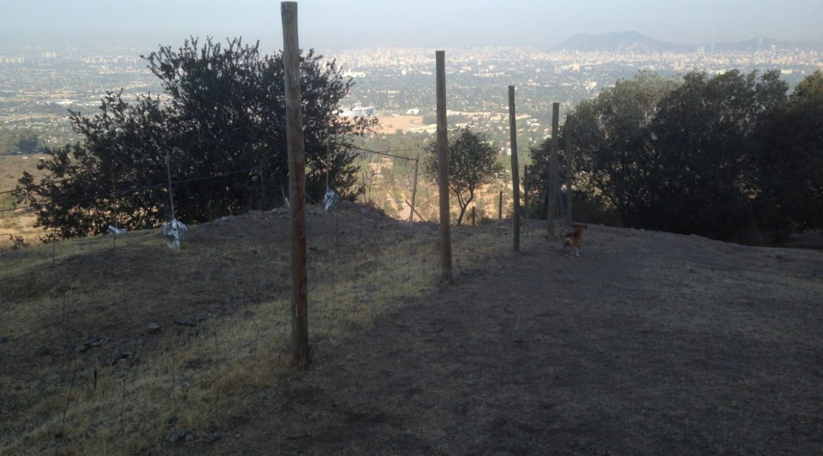 IMG-20240724-WA0012