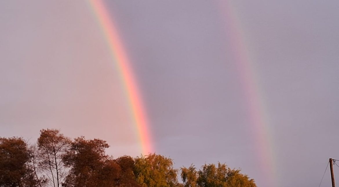 IMG-20241202-WA0033