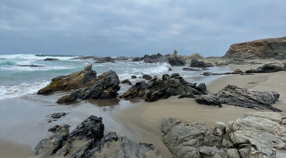 IMG-20250414-WA0019
